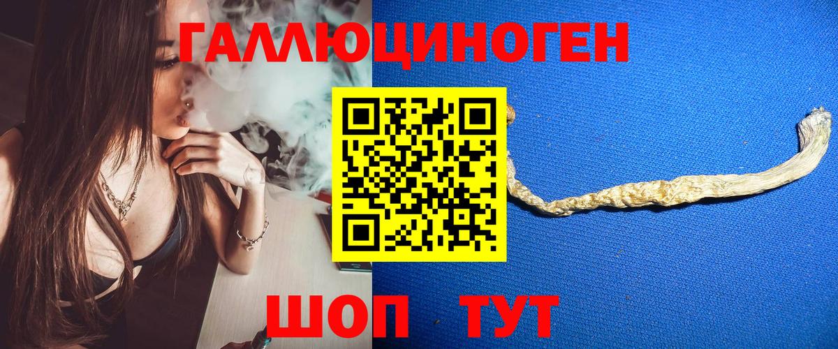 Галлюциногенные грибы GOLDEN TEACHER  Псилоцибиновые грибы мухоморы  Вход с VPN  Киселёвск 